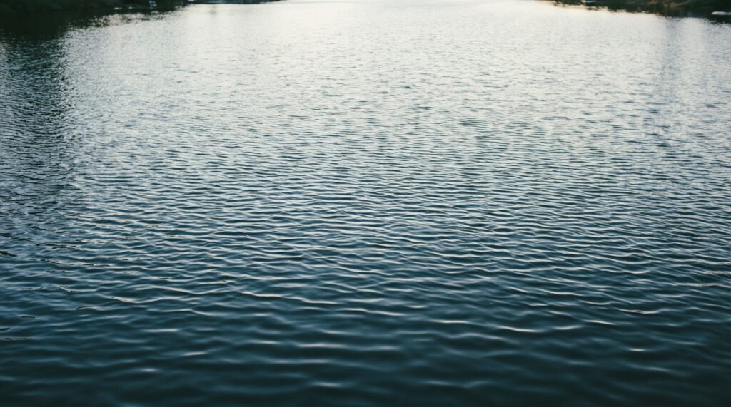 Маршрут по острову Канта: собор, набережные и лучшие ракурсы для фото - иллюстрация